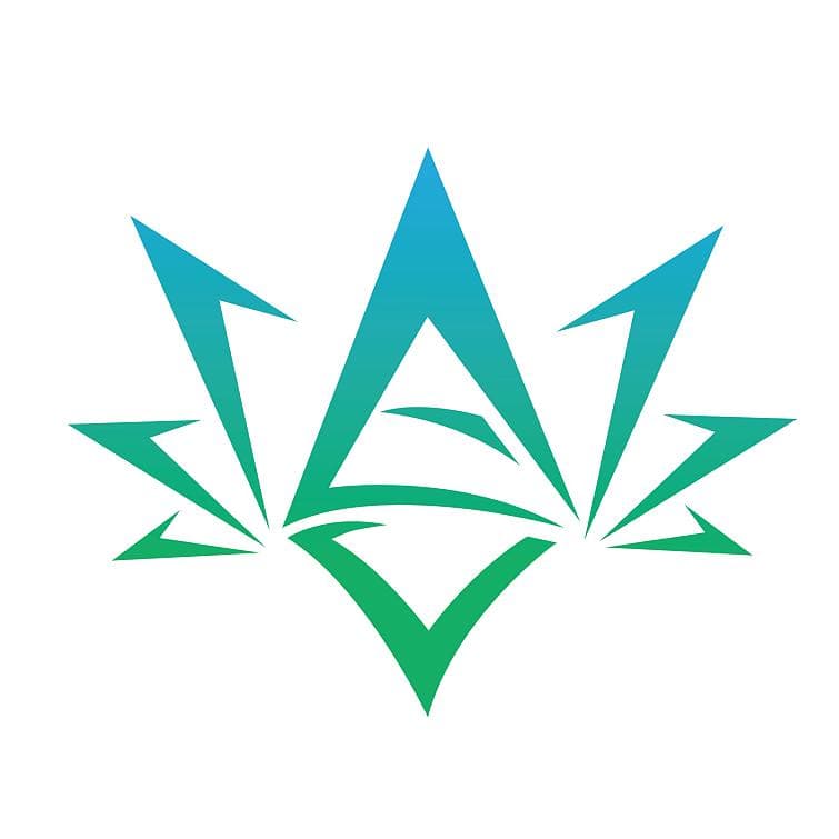 丁真个人简历
