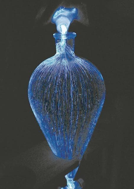 平潭： "蓝眼泪"人工培育成功，游客可随时观赏