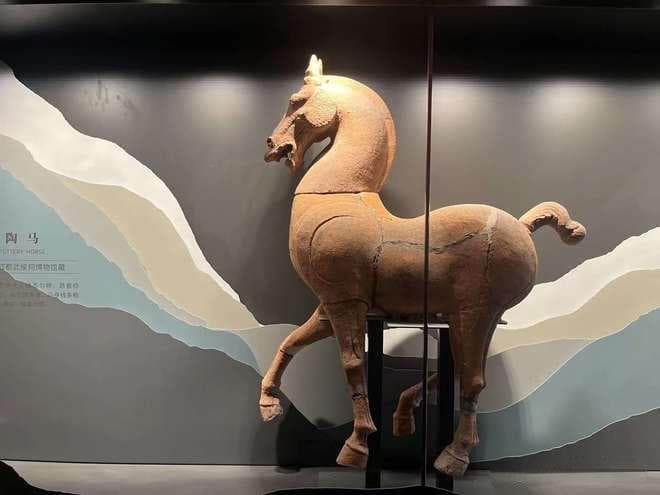 成都旅游最佳时间大揭秘：四季皆宜，只待你心之所向！
