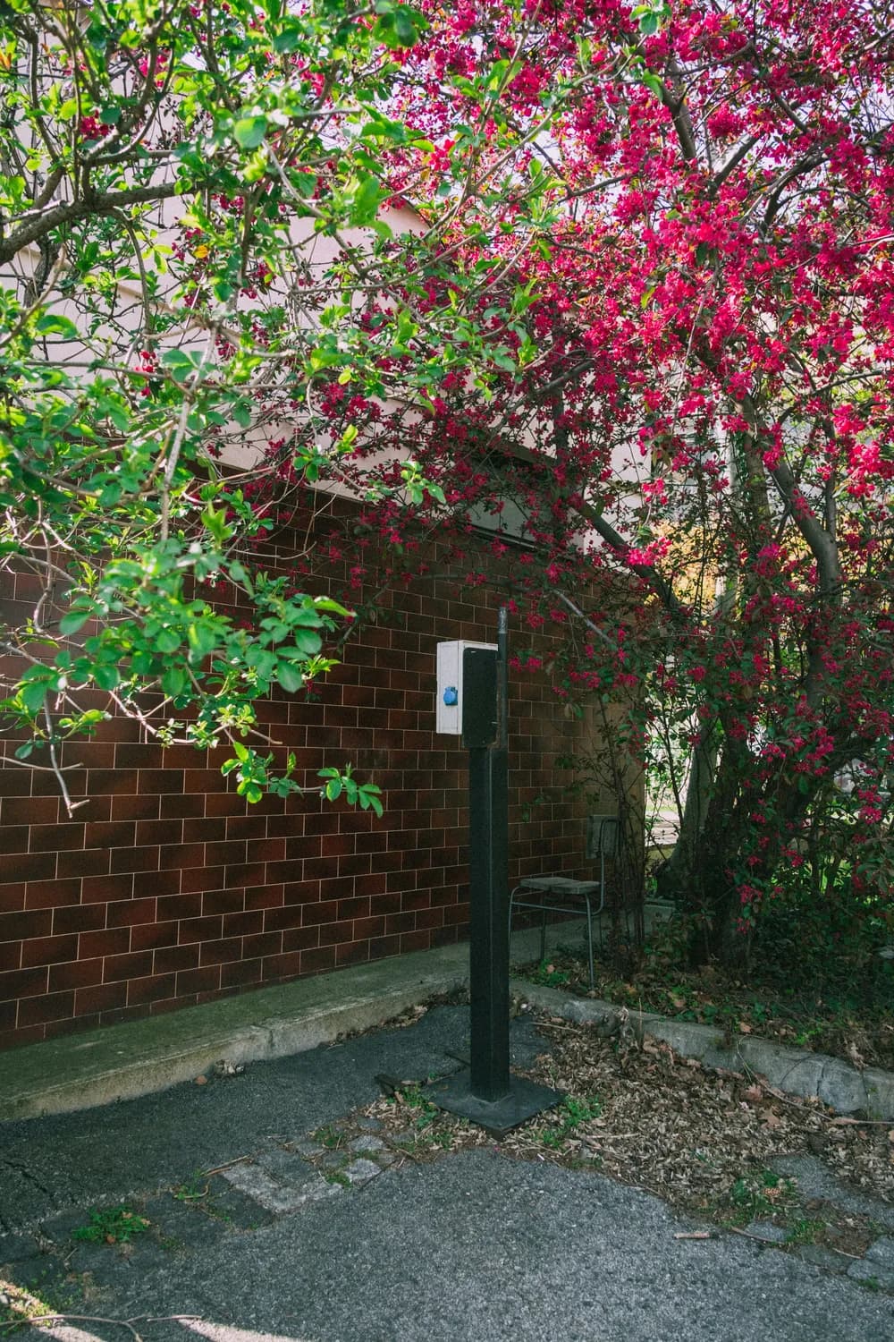 秋冬季节办公楼超市疫情防控：体温监测到应急处置全攻略