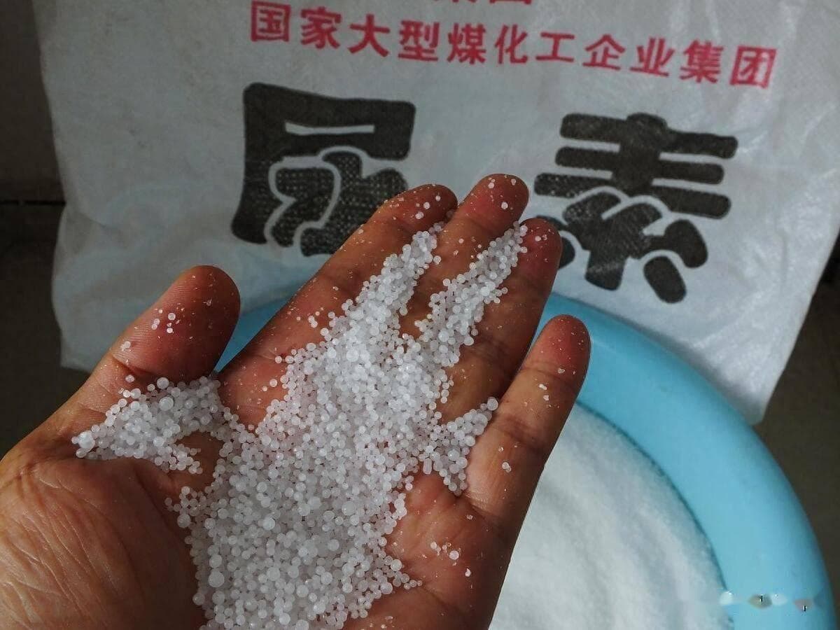 尿素的正确施肥方法
