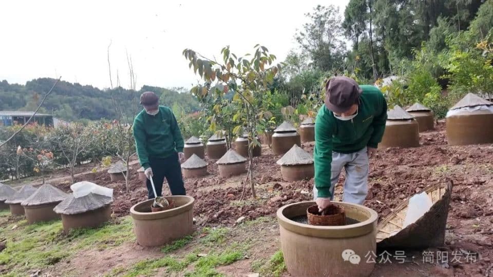 土法酿造酱品飘香 特色产业助力乡村振兴
