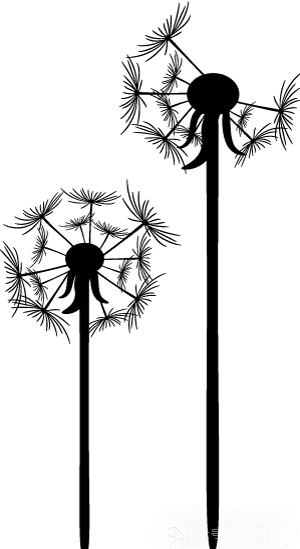 一文说清劳动法的经济补偿和赔偿（2025-2026版）
