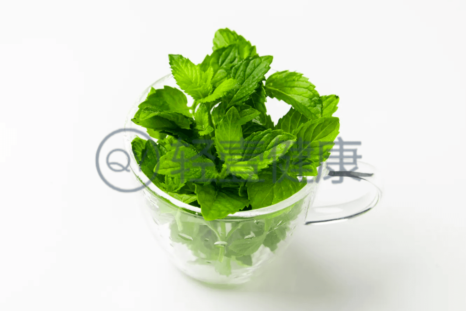 藿香与薄荷的区别有哪些？两者有这些不同之处