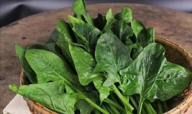 头发最爱的12种食物总结