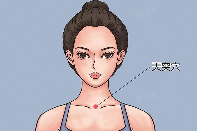 天突穴位置图解：功效与适应证全解析