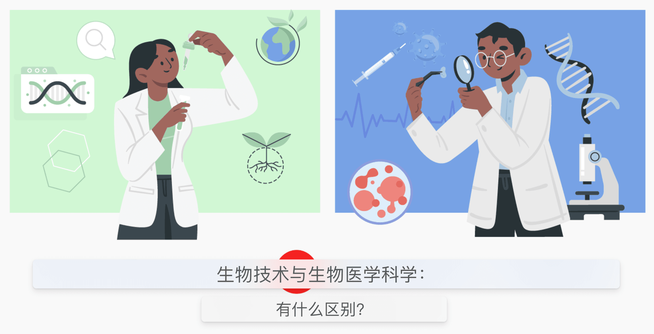 生物技术与生物医学科学：有什么区别？