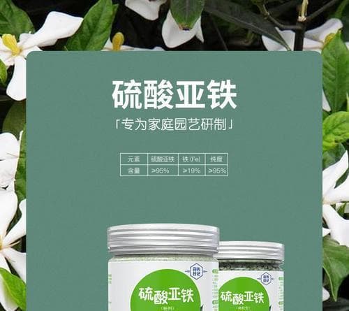 如何为蓝莓选择适宜的肥料（了解蓝莓的肥料需求及如何选择肥料）