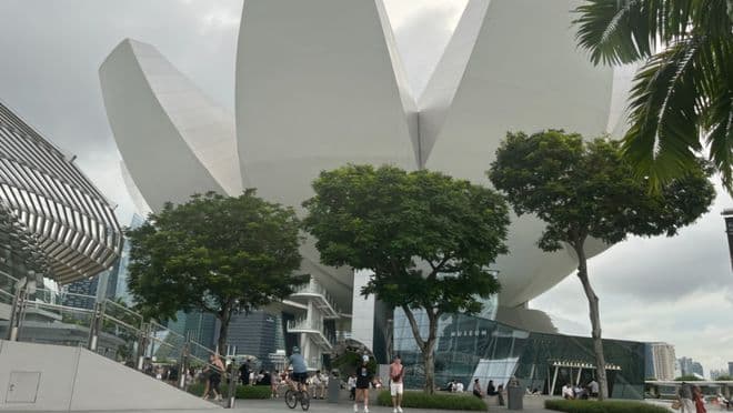 2025新加坡政府助学金全解析：低成本留学+职业发展双赢攻略