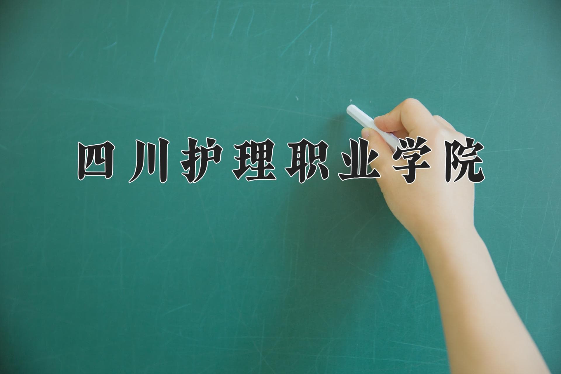 四川护理职业学院2024年招生章程：专业设置、录取规则及体检要求全解析
