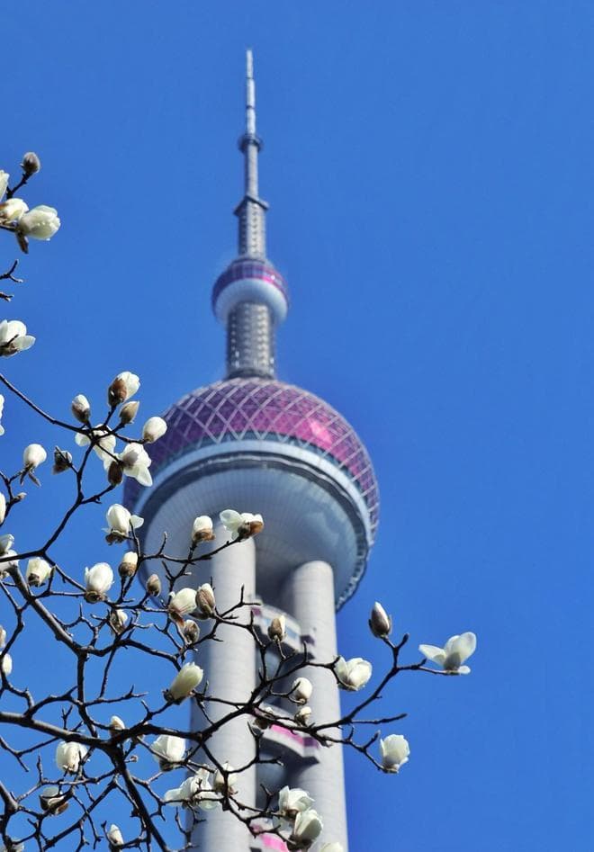 上海东方明珠：穿越时空的地标，见证都市繁华与魅力