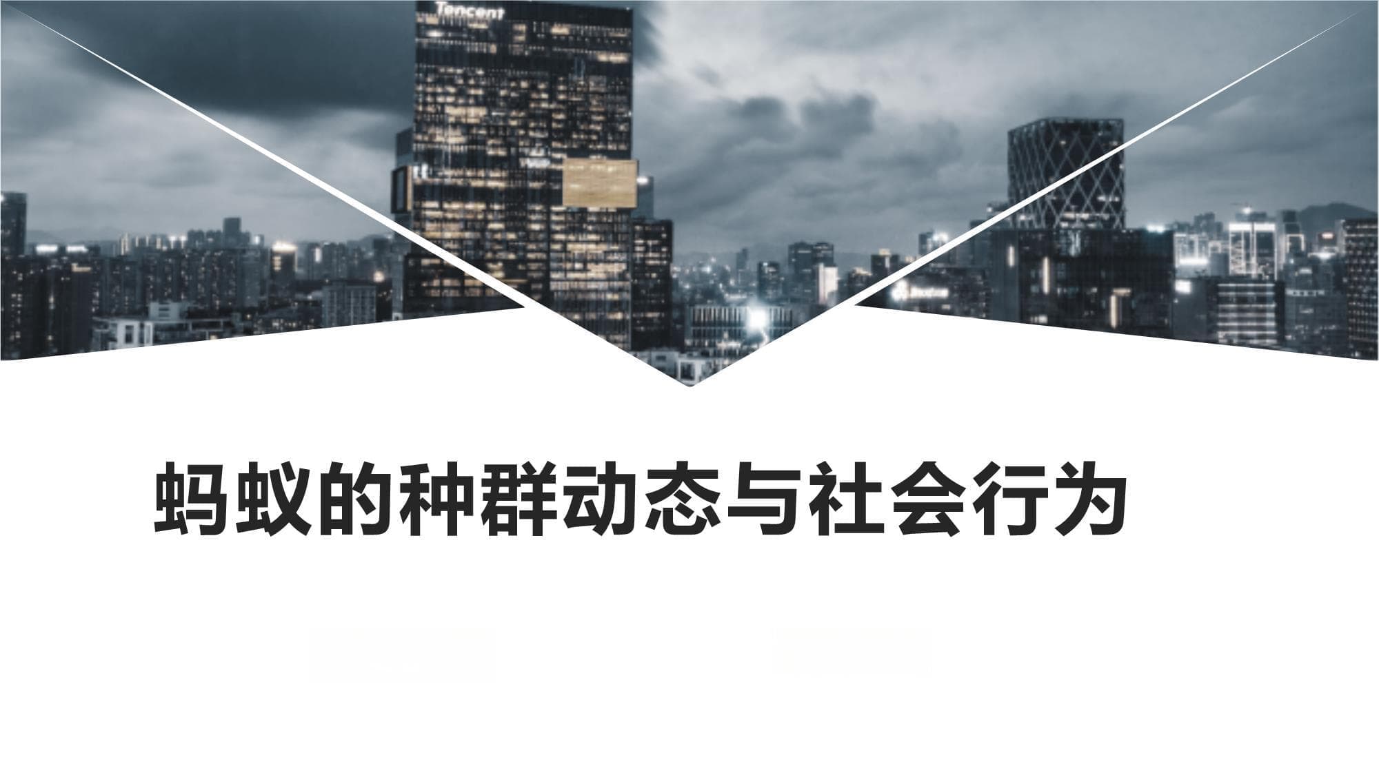 蚂蚁的种群动态与社会行为