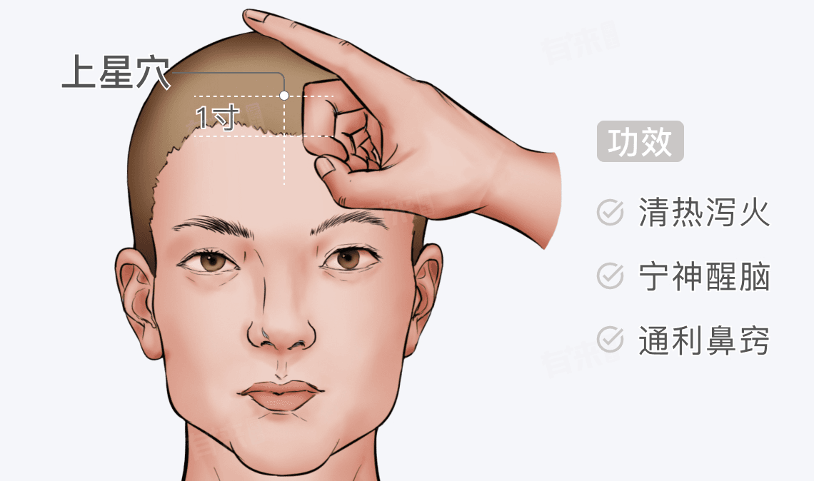 上星穴的位置和功效