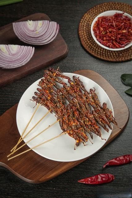 油炸昆虫与傣味烧烤：西双版纳的特色美食地图