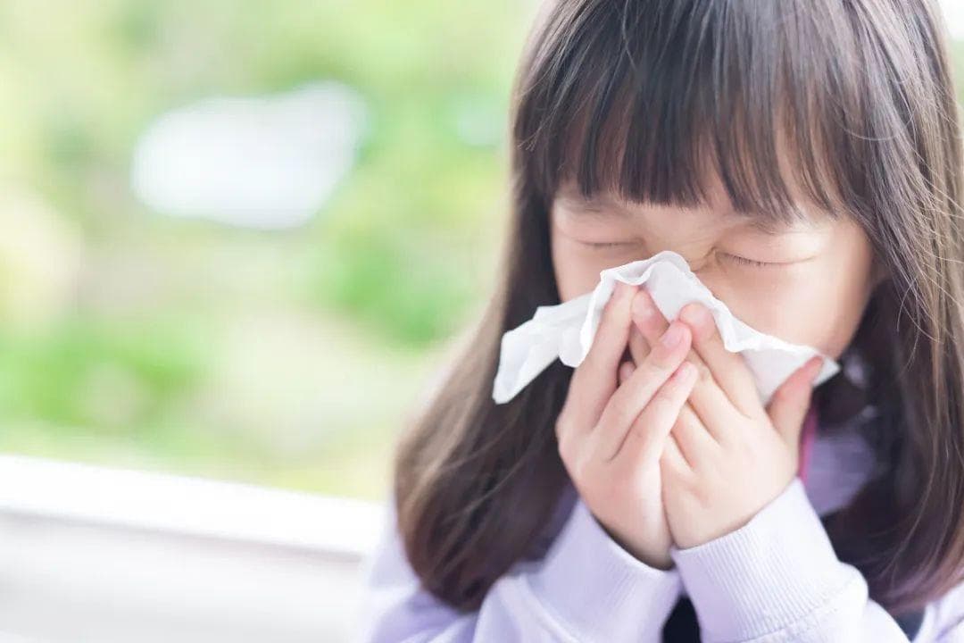 一文读懂：如何区分鼻炎和感冒？