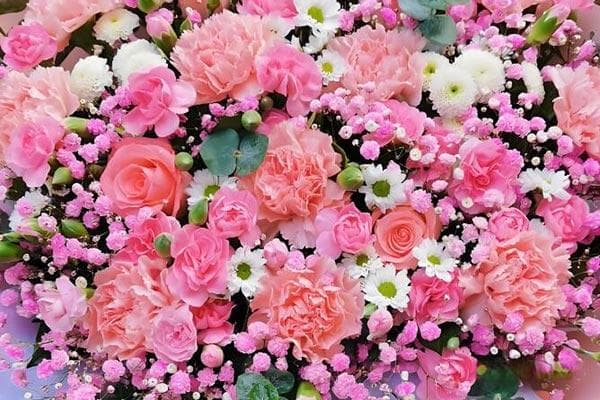妈妈70岁生日是送康乃馨还是送玫瑰花好？