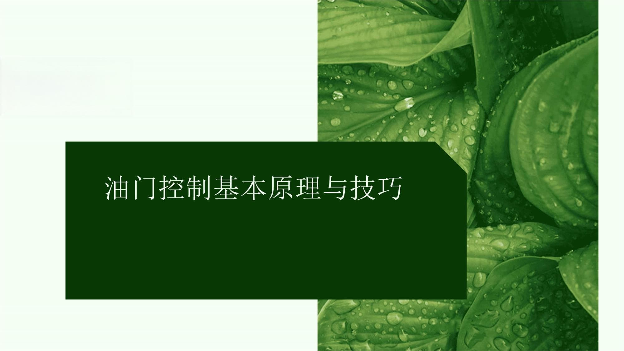 摩托车的油门控制与驾驶模式