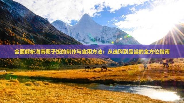 全面解析海南椰子饭的制作与食用方法：从选购到品尝的全方位指南