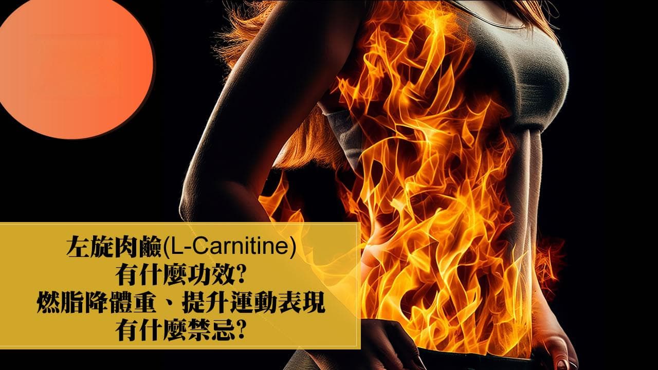 左旋肉碱(L-肉碱)的功效与禁忌：从能量产生到脂肪燃烧