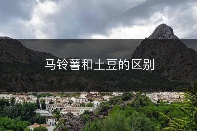 马铃薯和土豆的区别