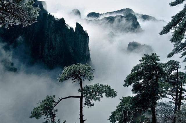 黄山最佳旅游时间：四季美景尽收眼底