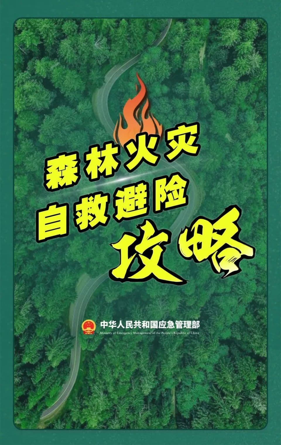 春季森林防火指南 | 遭遇火灾如何自救？这些知识能救命！