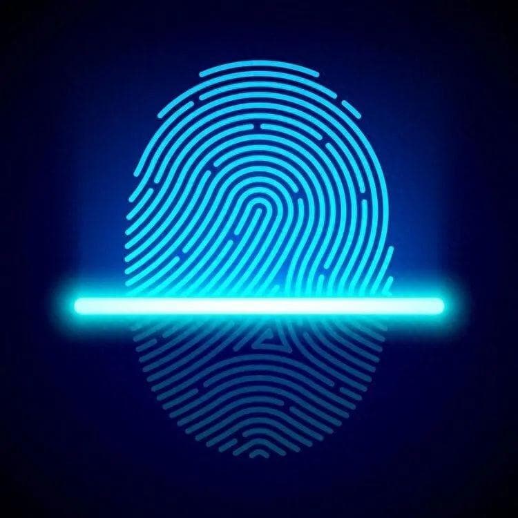 财富多少，看指纹便知？中科院破解“斗”和“簸箕”的基因奥秘