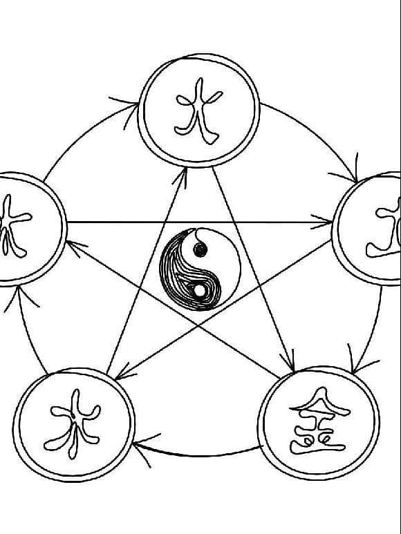 五行理论也能养生？一起来看看中医五行之道！
