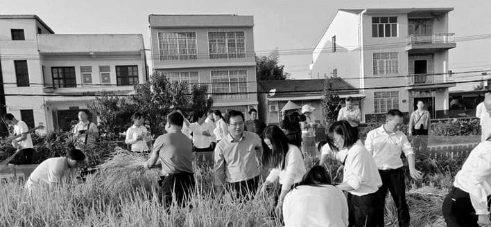 石首市：不误农时不误春 科技助农增效益