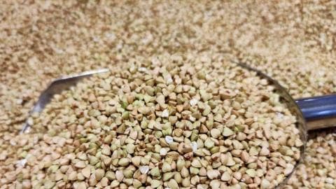 黑苦荞泡水喝的功效与作用