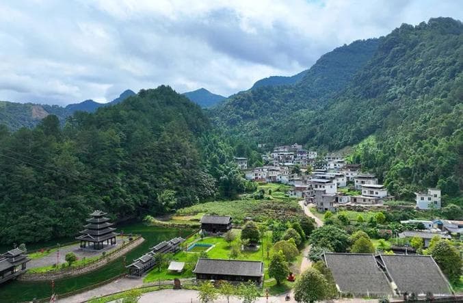 广西金秀：点“绿”成“金”推动乡村振兴