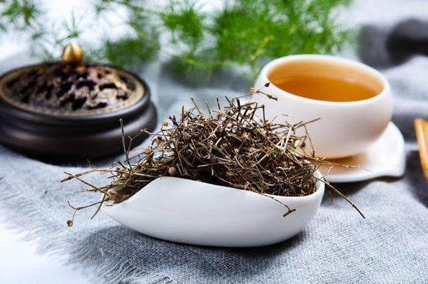 肺心草的功效与作用：清热解毒、祛痰止咳等