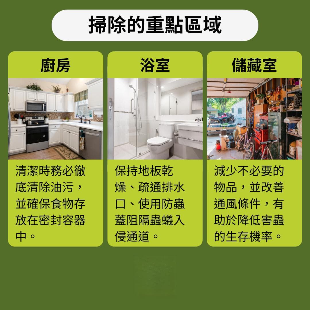 迎新年更要清虫害，大扫除必知的防治秘诀