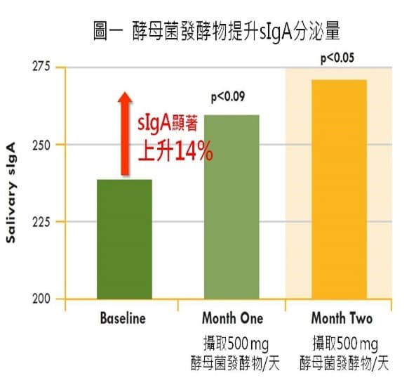 全家人的强效防御盔甲，酵母菌发酵物！