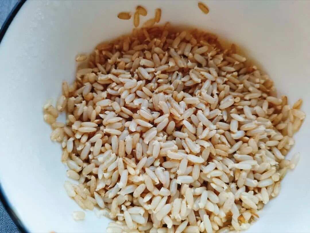 剧透一下100%成功率的糙米催芽技术及发芽糙米的好处