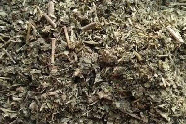 茶叶渣这样处理就是优质肥料，这些花卉都适用