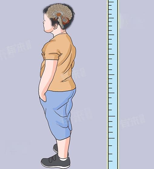 12周岁男孩标准身高体重及影响因素分析