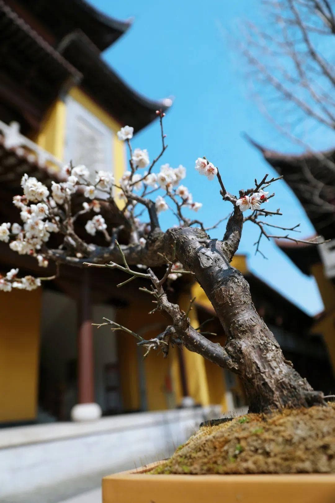 佛说“缘起性空”，是在讲什么？