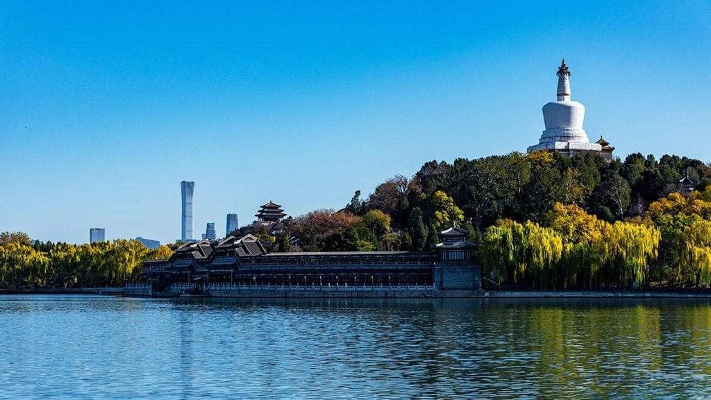 磁力搜索——网络资源获取的高效工具