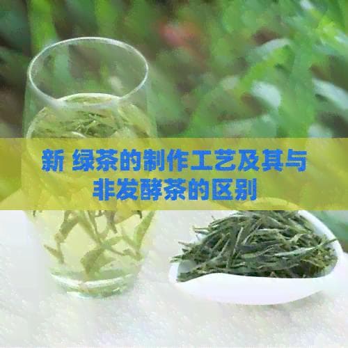 新 绿茶的制作工艺及其与非发酵茶的区别