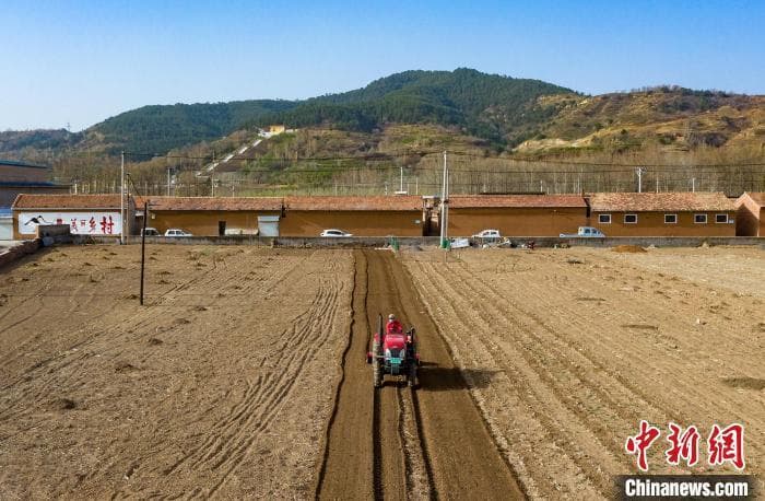 清明节的冷知识：如何从节气变成节日？