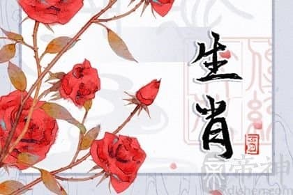 12生肖守护神