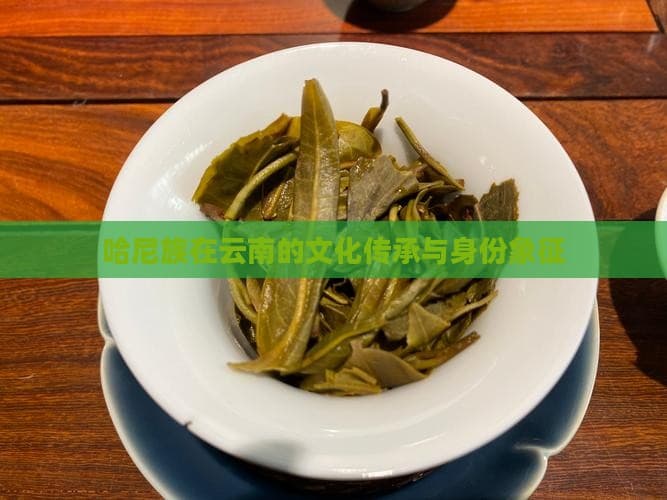 哈尼族在云南的文化传承与身份象征