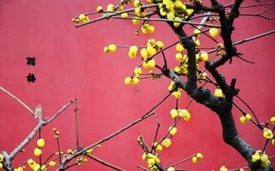 2025年1月扫房吉日推荐：如何选择合适的扫房时间
