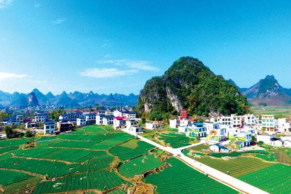 柳江区三都镇：生态宜居新三都 “葱”满幸福村民富