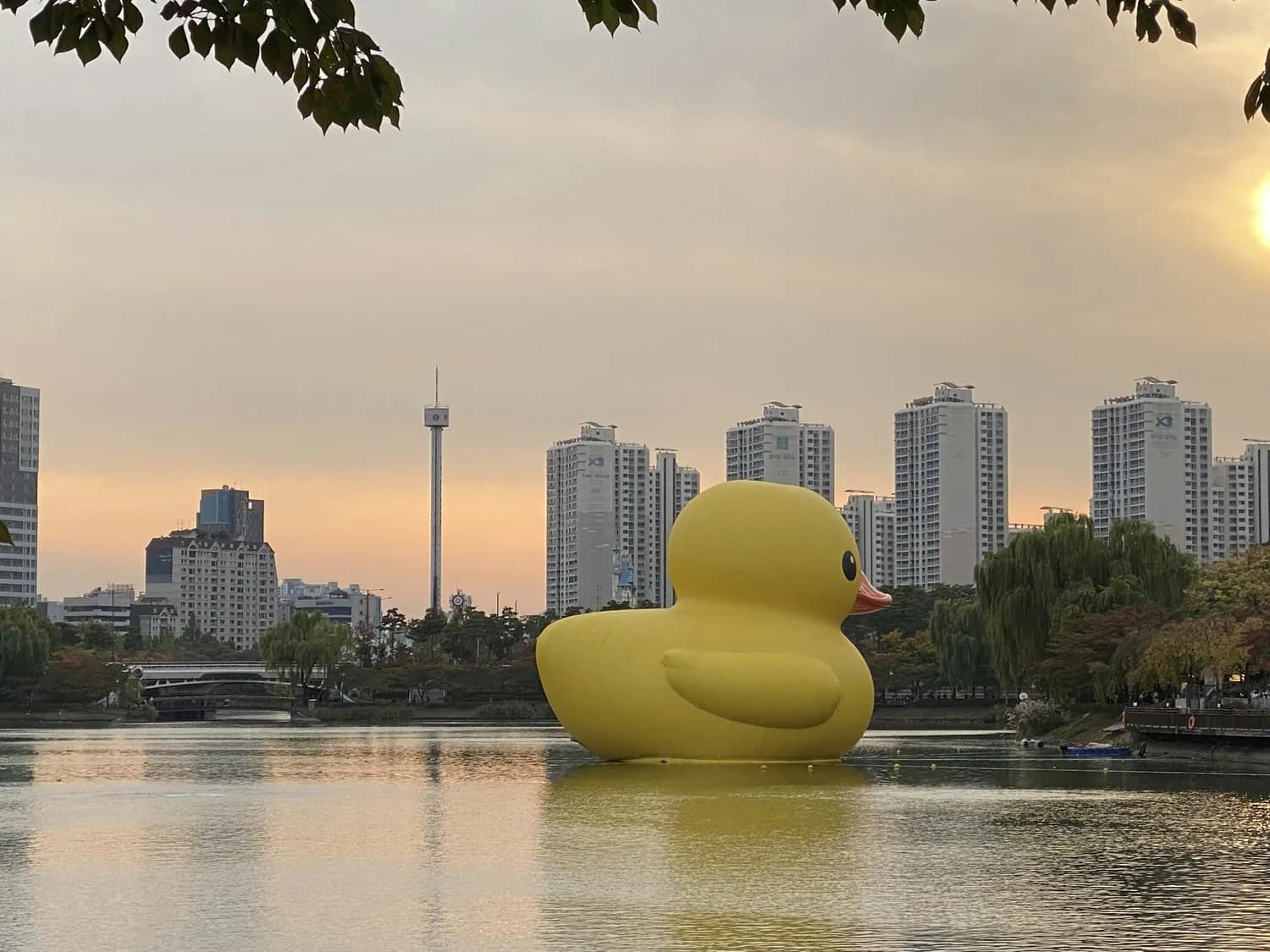 带孩子打卡前海小黄鸭乐园，体验NeeDo音乐会