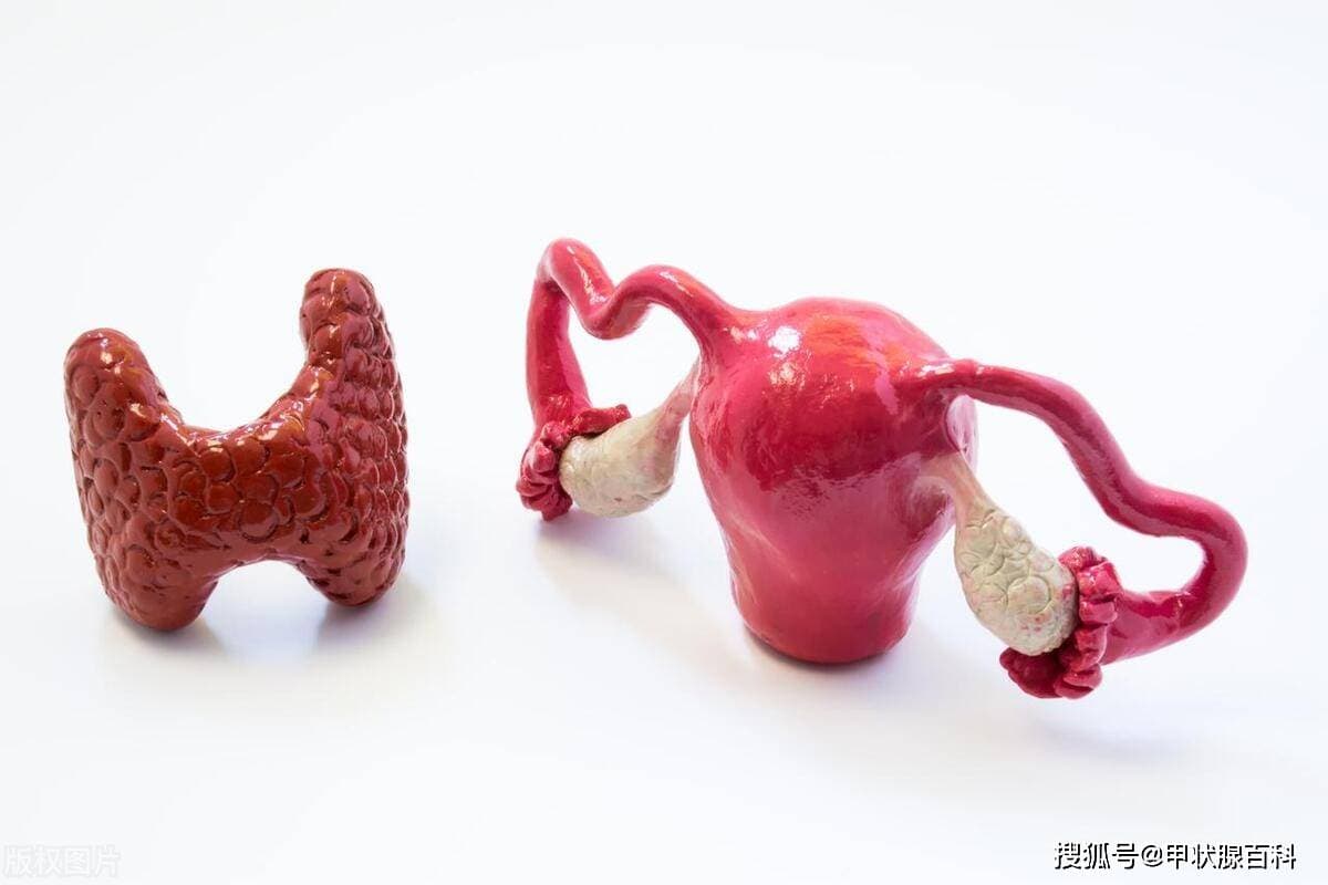 南昌五院甲状腺专业：微创消融术后海带能否食用？饮食全攻略揭秘