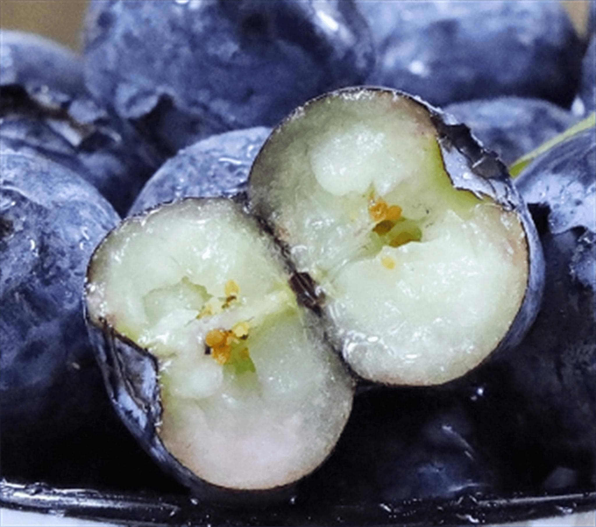 蓝莓不洗，直接入口？揭秘蓝莓食用前的清洁方法