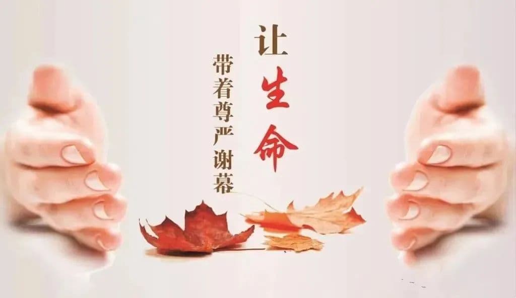 世界安宁缓和医疗日 | 最后的告别 最美的守护