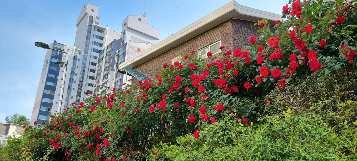 中国科学家突破肾癌研究瓶颈，为精准治疗开辟新路径